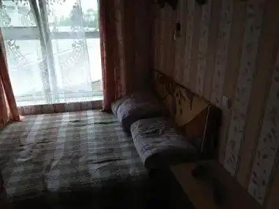 Подсолнухи - 57