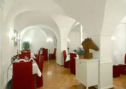 Weisses Ross - 17