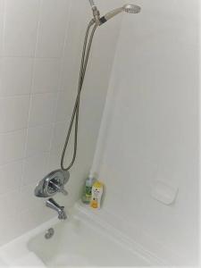 Tropical Studios At Marine Surf Waikiki - Free Parking - Best Location - Full Kitchen - Swimming Pool - 102