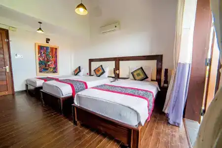 Calm House Hoi An - 2