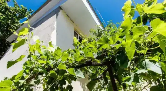 Кулинар - 0