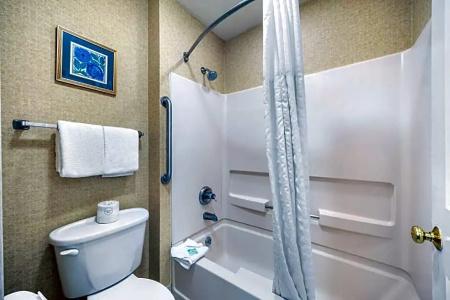 Quality Suites Atlanta Buckhead Village North - 70