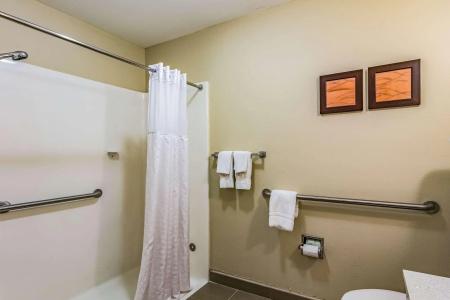Comfort Inn & Suites West - Lookout Mountain - 8