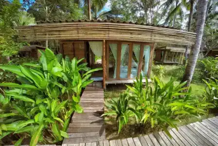 Jungle Koh - 65