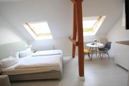 Zollikof Aparts - Sauna & Studio - 77