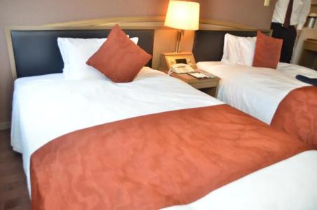 Patio Dogo - 45