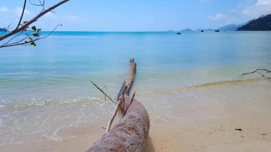 88 Days Self Catering Holidays & Accomodation - 21
