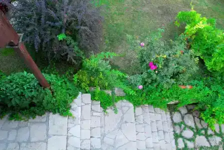 Mehves Hanim Konagi - 16