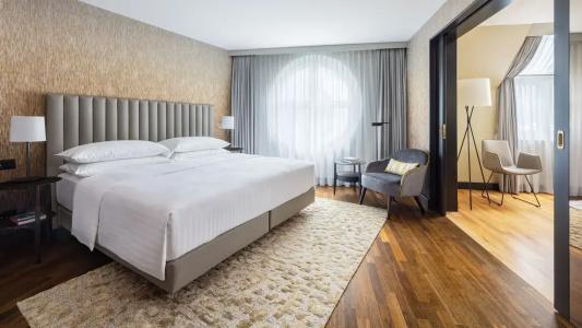 Swissotel Le Plaza Basel City - 119