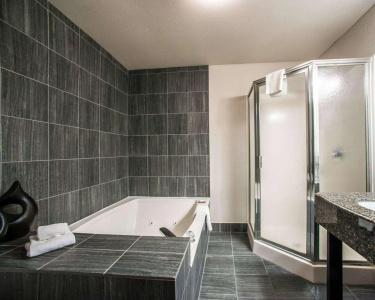 Comfort Suites Airport Nashville - 7