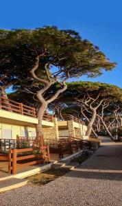 Golfo del Sole Holiday Resort - 53
