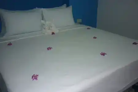 Maneemudjalin Resorts Farm Stay - 2