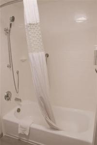 Hampton Inn & Suites Denver-Speer Boulevard - 68