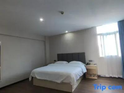 GreenTree Inn Hainan Haifu Road Provincial Government Express - 31