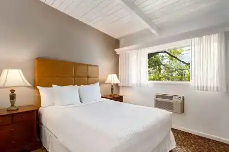 Best Western Plus - 204