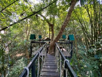 Khao sok tree house resort - 27