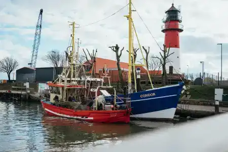 Astra Maris - 25