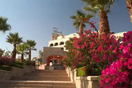 Basma Aswan - 1