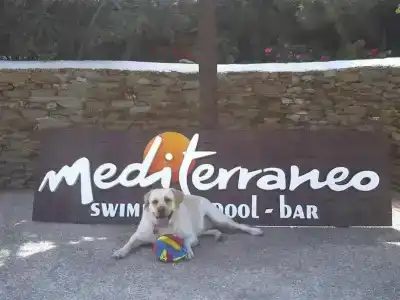 Mediterraneo - 10