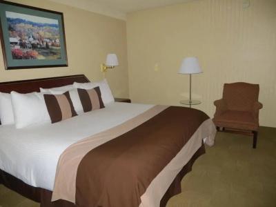 Ramada by Wyndham Denver Downtown - 4