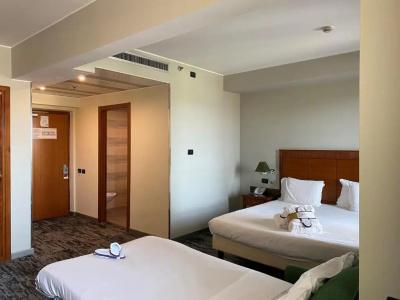 Mercure Leonardo da Vinci Rome Airport - 55