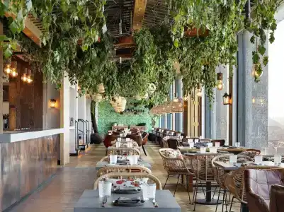 Treehouse London - 10