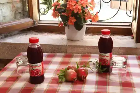 Agrovino Lofou - 10