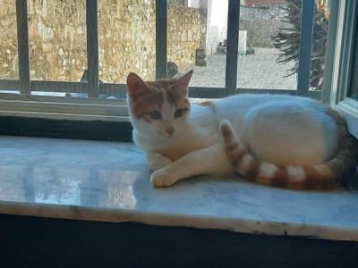 b&b Principe Calaf 3 - 5