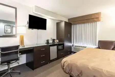 Quality Inn - 55