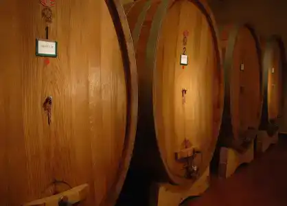 Tenuta Moriano - 10
