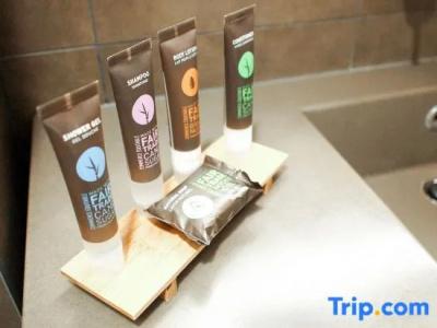 Novotel Spa Rennes Centre Gare - 80