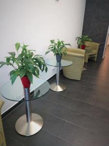 Luise Mannheim - by SuperFly Hotels - 6