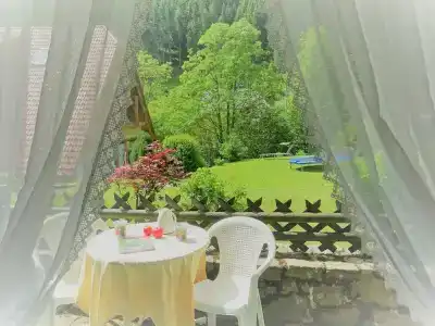 Schwarzwald ApartKräutle - 38