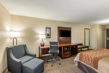 Comfort Inn Charlotte Airport Uptown - 50