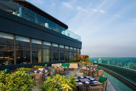 Banyan Tree - 22
