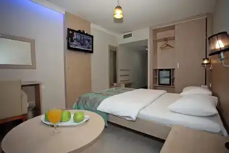 Yildizoglu - 2