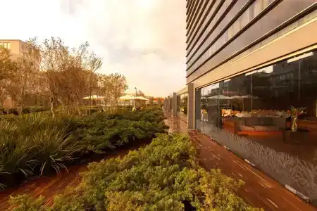 Hilton Mexico City Reforma - 43