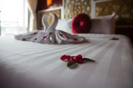 Rosa Cruise - 1
