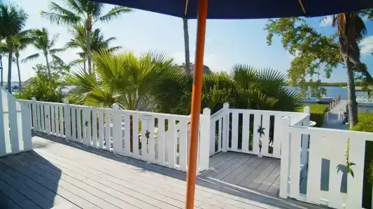 Coconut Palm Inn - 96