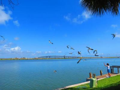 Multi Resorts at Puente Vista - 17
