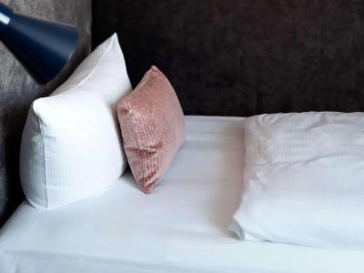 Mercure Mainz City Center - 56