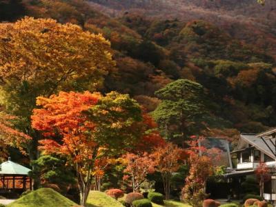 Itamuro Onsen Daikokuya - 14