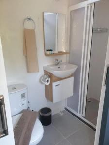 Gaia Tiny Houses Butik - 31