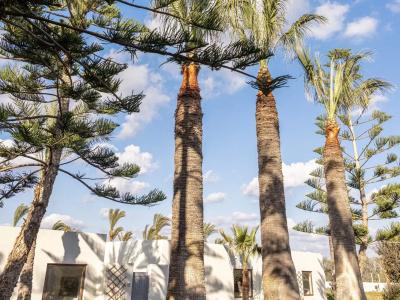 Amirandes Grecotel Boutique Resort - 138