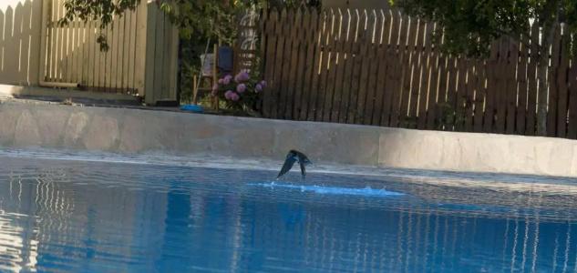 Olive Grove Suites Boutique - 53