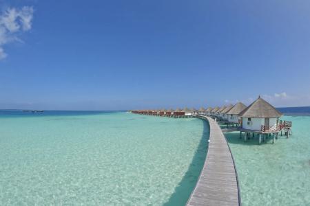 Safari Island - 29