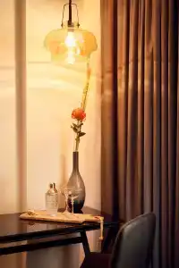 Park Plaza Vondelpark Amsterdam - 49
