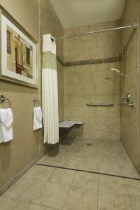 Hampton Inn & Suites I-20 - 44