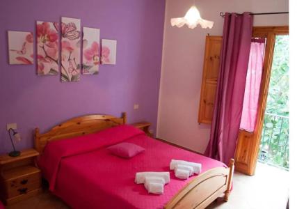 Il Cortile - 80