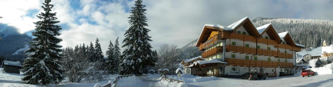 x Alp - 13